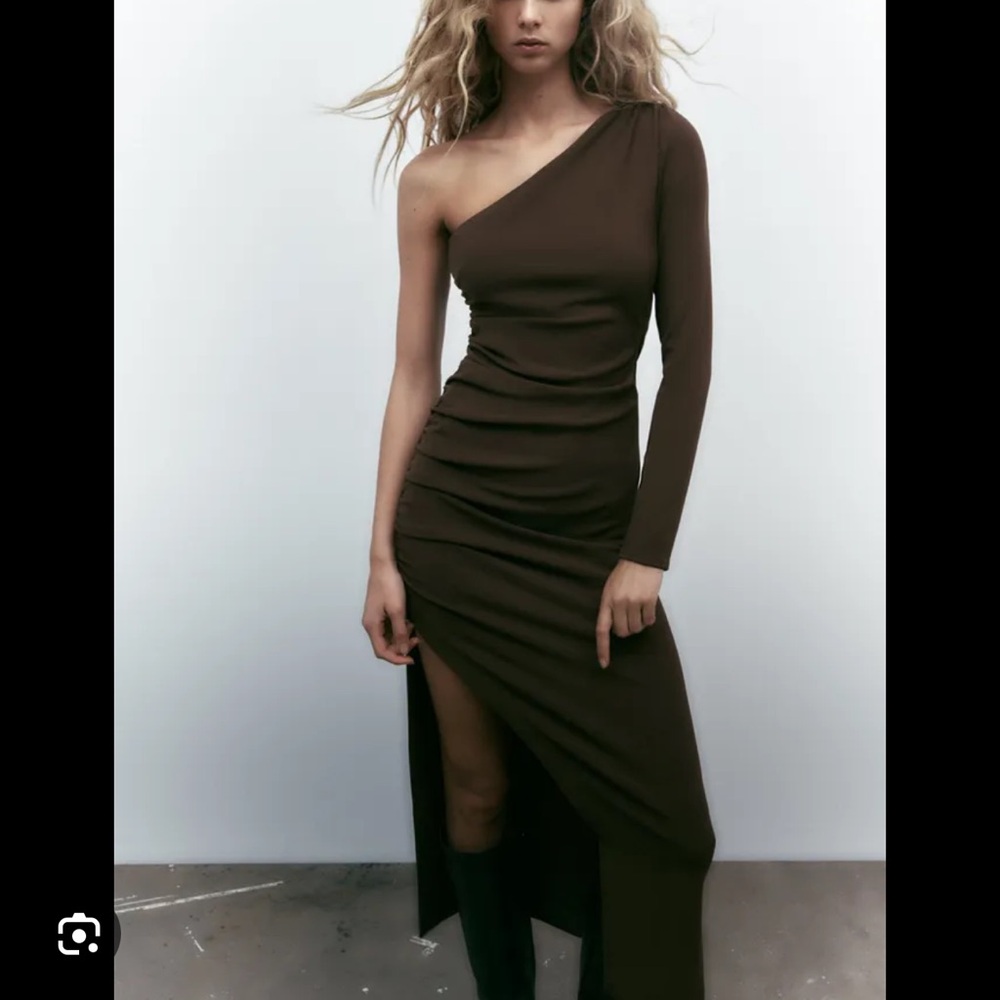 Zara dress